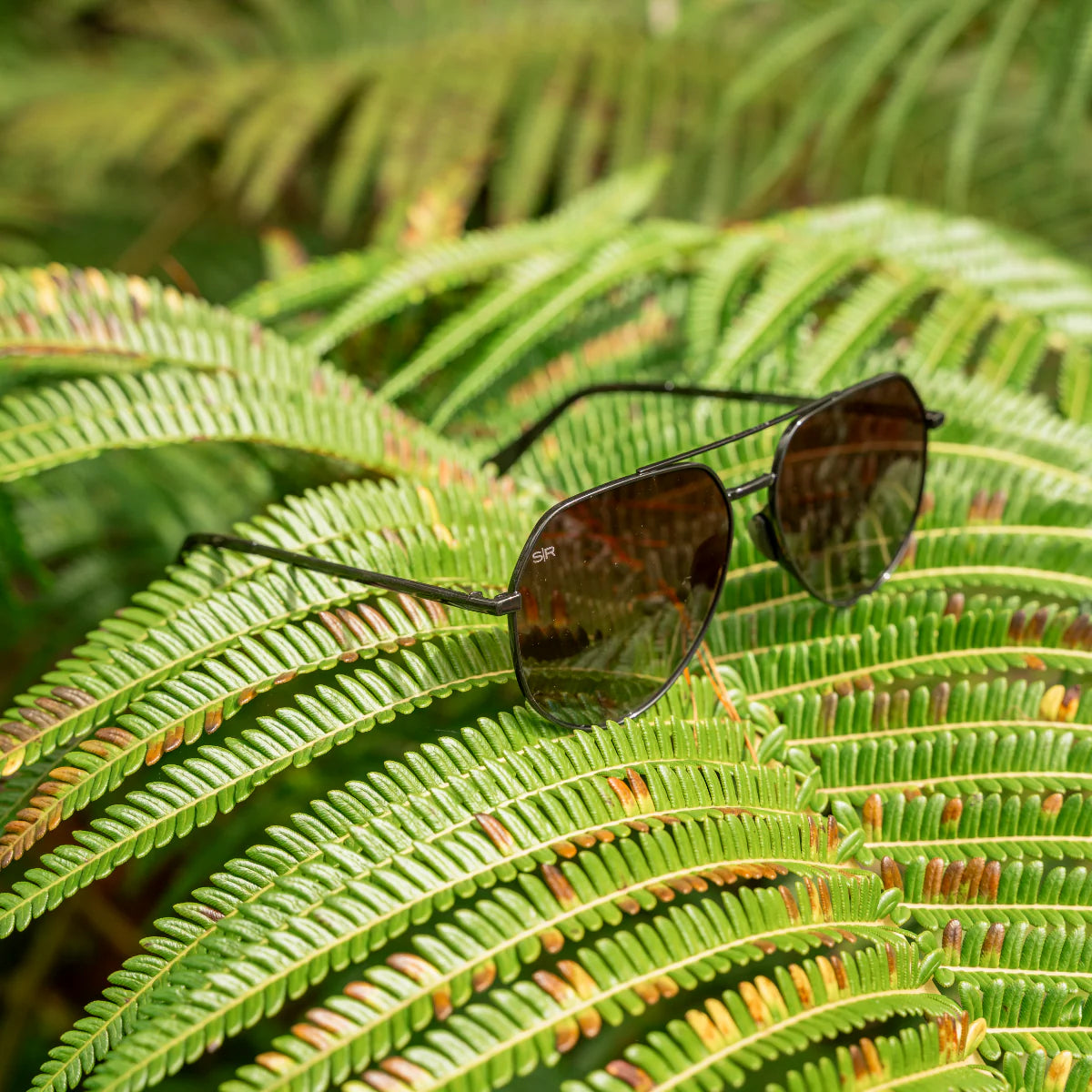Tangle Free Aviator Hex - Black Fade Polarized