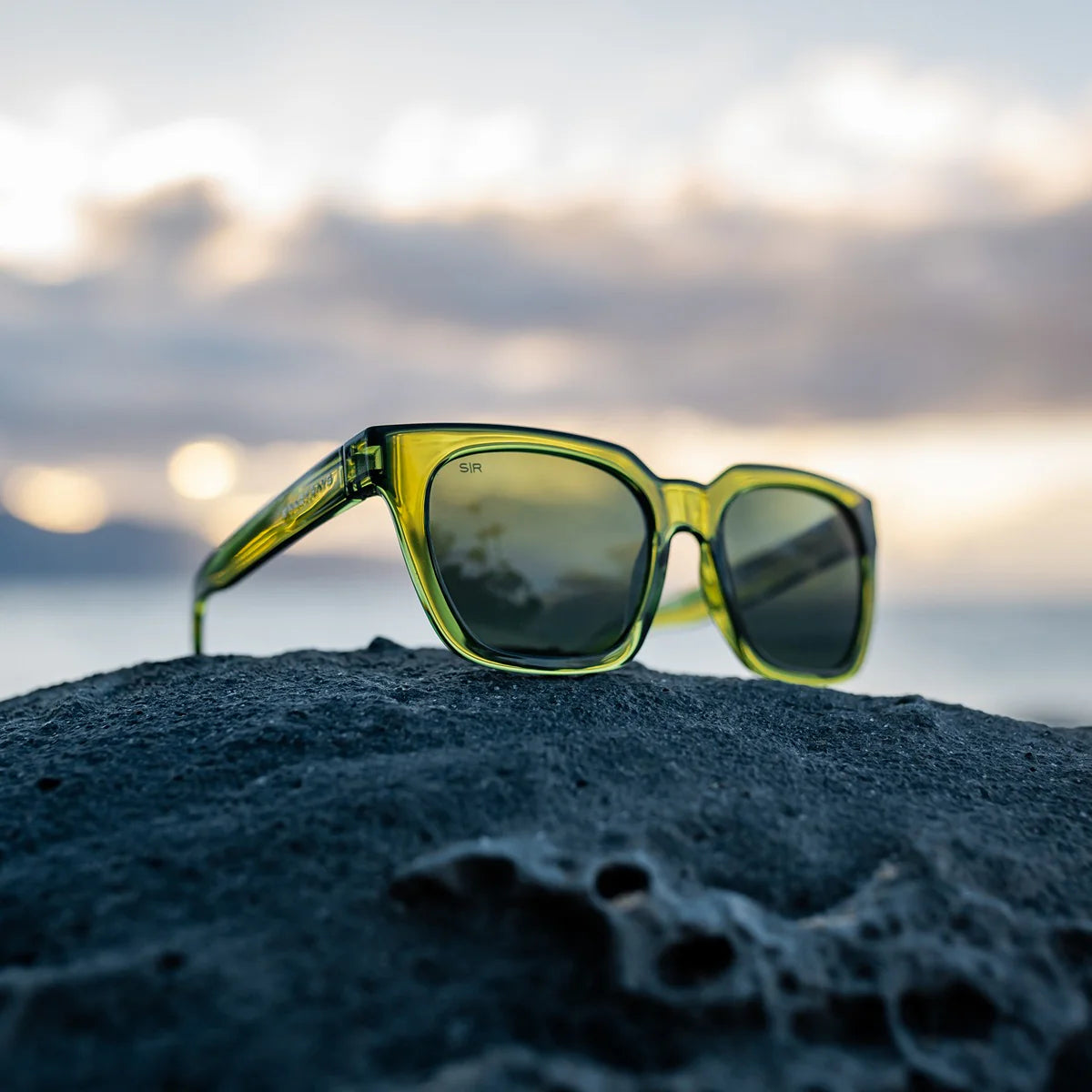 Dahlia - Sage Polarized