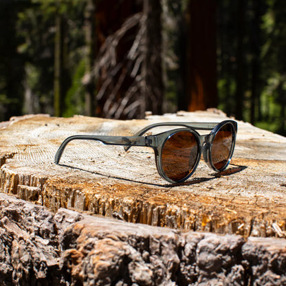 Sequoia - Dusk Polarized