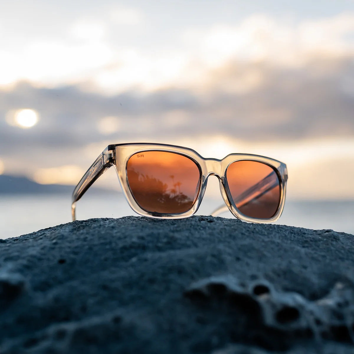 Dahlia - Aspen Polarized